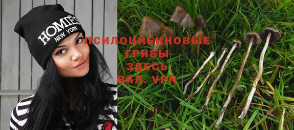 стафф Нефтекумск