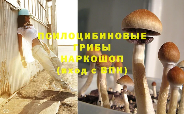 ГАЛЛЮЦИНОГЕННЫЕ ГРИБЫ Алексеевка